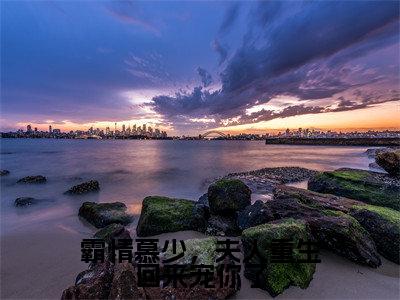(霸情慕少,夫人重生回来宠你了)全文免费阅读无弹窗(霸情慕少,夫人重生回来宠你了)苏童慕寒已完结全集大结局
