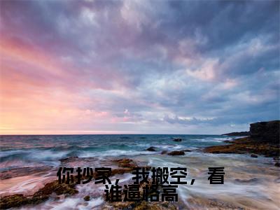 苏云鹿（你抄家，我搬空，看谁逼格高）免费小说全文完整版-你抄家，我搬空，看谁逼格高最新章节完整版阅读
