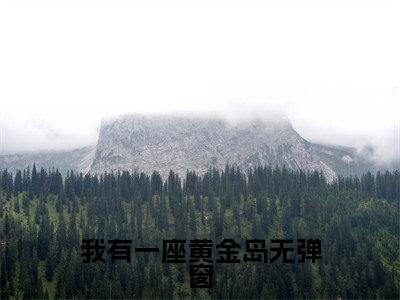 我有一座黄金岛（ 李铮米多）全文免费阅读无弹窗大结局_（我有一座黄金岛） 李铮米多最新章节列表_笔趣阁（ 李铮米多）