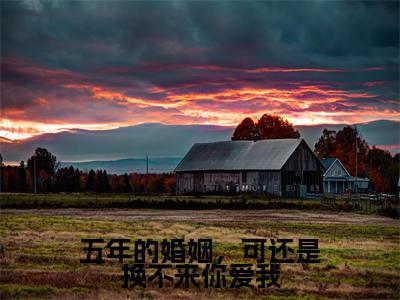 顾辞琛洛曦晴（顾辞琛洛曦晴）全文免费阅读_顾辞琛洛曦晴（五年的婚姻，可还是换不来你爱我）最新章节列表笔趣阁