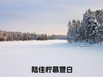 陆佳柠慕暨白精选热门好书-陆佳柠慕暨白(慕暨白陆佳柠)全文无删减版在线阅读