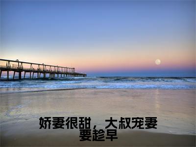 苏诺诺顾承厉独家小说娇妻很甜，大叔宠妻要趁早-苏诺诺顾承厉无删版小说推荐