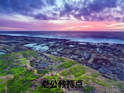老公矜持点(宋南乔唐竞泽)全文免费阅读无弹窗完整版,(老公矜持点)免费阅读全文最新章节列表_笔趣阁