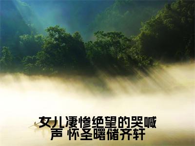  怀圣曙储齐轩（女儿凄惨绝望的哭喊声）在线阅读的小说完整版-女儿凄惨绝望的哭喊声（ 怀圣曙储齐轩）小说免费阅读