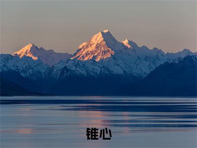 锥心(傅寒璟沈南烟)最新免费小说-傅寒璟沈南烟(锥心)全文全章节免费阅读