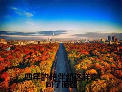 四年的陪伴就这样走向了陌路精彩章节在线阅读_舒黎月肖昀免费观看（四年的陪伴就这样走向了陌路）完结版_笔趣阁（舒黎月肖昀）