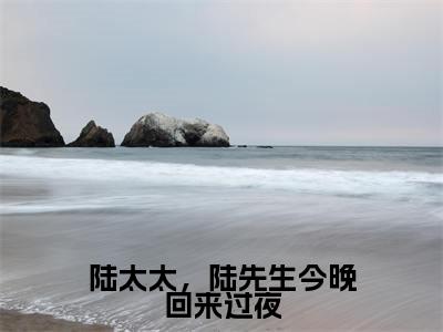 陆太太，陆先生今晚回来过夜小说最新试读_顾南烟陆北城是(陆太太，陆先生今晚回来过夜全文完整版免费阅读)_笔趣阁