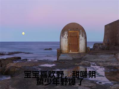 【新书】《温汐汐墨寒野》宝宝喜欢野，甜喘阴鸷少年野爆了全文全章节免费阅读