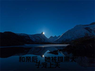 和亲后,她被腹黑太子宠上天(宁染景易)全文免费阅读无弹窗大结局_(和亲后,她被腹黑太子宠上天)最新章节列表_笔趣阁