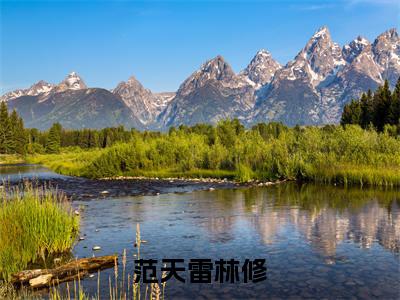 范天雷林修(林修范天雷)小说全文免费读无弹窗大结局_(范天雷林修小说全文免费阅读)最新章节列表笔趣阁(林修范天雷)