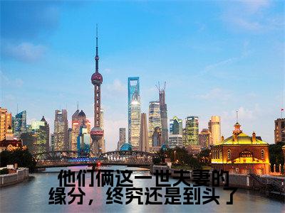 文兰心苏崇岳（他们俩这一世夫妻的缘分，终究还是到头了）小说全文-他们俩这一世夫妻的缘分，终究还是到头了小说免费阅读大结局