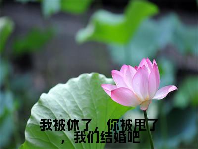桑枝的小说免费阅读(我被休了,你被甩了,我们结婚吧的小说免费阅读)全文完整版免费阅读-我被休了,你被甩了,我们结婚吧好书推荐