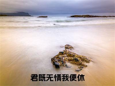 君既无情我便休(萧倾泠南宫辰)免费小说-君既无情我便休小说完整版阅读