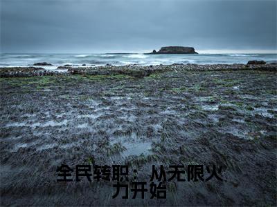 全民转职：从无限火力开始（楚风）全文免费阅读最新章节_全民转职：从无限火力开始大结局精彩阅读_笔趣阁（楚风）