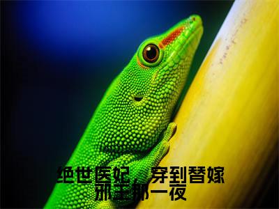 绝世医妃,穿到替嫁邪王那一夜全集完整版大结局-阮宁秦云川小说在线赏析