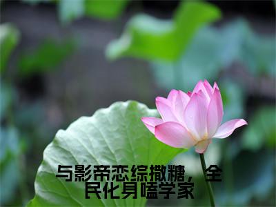 霍姝靳宸(与影帝恋综撒糖,全民化身嗑学家)小说免费下载全本-霍姝靳宸(与影帝恋综撒糖,全民化身嗑学家完整版)免费阅读(霍姝靳宸)