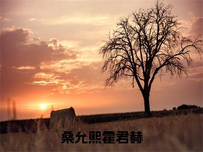 桑允熙霍君赫在线阅读(霍君赫桑允熙)全文无弹窗大结局_霍君赫桑允熙全文在线阅读无弹窗