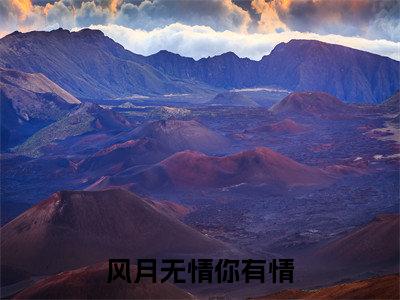风月无情你有情小说(庄婧妍周屿安)小说全文免费庄婧妍周屿安读无弹窗大结局笔趣阁(风月无情你有情)