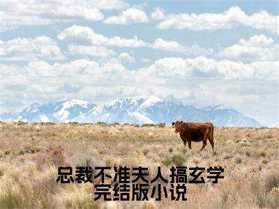 总裁不准夫人搞玄学（ 林翩翩陆令）全文免费阅读无弹窗大结局_总裁不准夫人搞玄学最新章节列表_笔趣阁（ 林翩翩陆令）