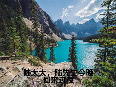 陆太太，陆先生今晚回来过夜小说（顾南烟陆北城）最新章节阅读-陆太太，陆先生今晚回来过夜（顾南烟陆北城）免费阅读无弹窗大结局