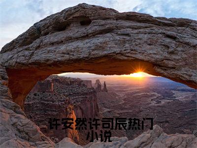  许安然许司辰小说（重生末世灾变前，我变卖了十亿股票）免费阅读_ 许安然许司辰小说免费阅读-笔趣阁