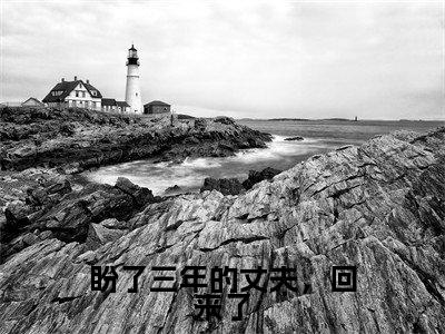 盼了三年的丈夫，回来了(秦雨溪厉墨珩小说)全文免费阅读无弹窗大结局-秦雨溪厉墨珩小说最新章节列表_笔趣阁