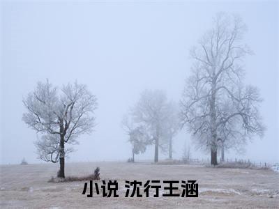我能听到心声后小说全文免费阅读（ 沈行王涵）全文免费阅读无弹窗大结局_( 沈行王涵)我能听到心声后小说免费阅读无弹窗最新章节列表_笔趣阁（ 沈行王涵）