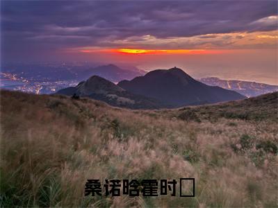 主角是霍时旻桑诺晗的小说全文免费阅读无弹窗大结局-《桑诺晗霍时旻》完整章节阅读