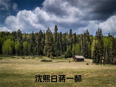 蒋一郝沈熙白(沈熙白蒋一郝最新全章节大结局)全文阅读