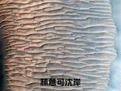 沈岸林意可(林意可沈岸)全文免费阅读无弹窗大结局_ (沈岸林意可小说全文免费阅读)最新章节列表_笔趣阁