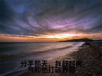 分手那天,我鼓起勇气和他打破界限(盛音顾恒之)全文免费阅读无弹窗大结局-分手那天,我鼓起勇气和他打破界限最新章节列表免费阅读