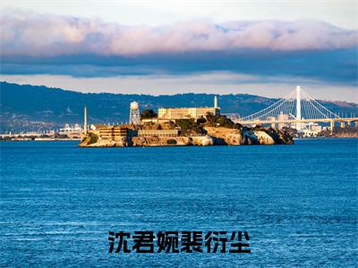 裴衍尘沈君婉全文免费阅读大结局-沈君婉裴衍尘完整版无弹窗