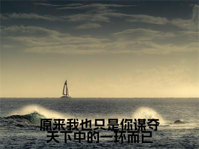 言絮晚旬全文免费阅读大结局-原来我也只是你谋夺天下中的一环而已结局免费阅读