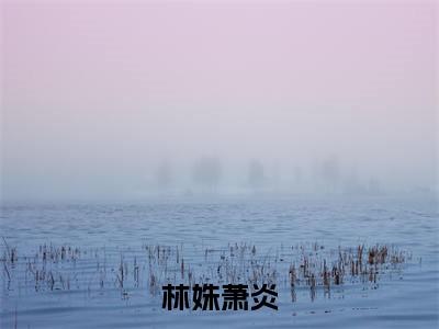 （林姝萧炎）全文免费阅读无弹窗大结局_（萧炎林姝）章节列表_笔趣阁