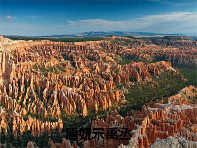 唐妩宋禹丞(宋禹丞唐妩)全文免费阅读无弹窗大结局_唐妩宋禹丞免费阅读无弹窗最新章节列表_笔趣阁(宋禹丞唐妩)