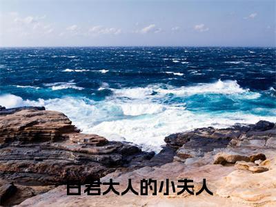 苏婉白重小说在线阅读全文无弹窗_白君大人的小夫人小说最新全文完整无删减版