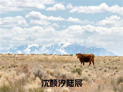 沈颜汐陆宸(陆宸沈颜汐)全文免费阅读无弹窗大结局_陆宸沈颜汐无弹窗最新章节列表_笔趣阁
