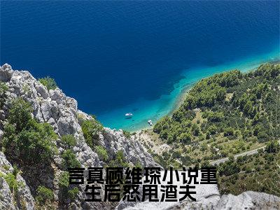  言真顾维琛在线阅读（重生后怒甩渣夫，军婚甜如蜜）全文免费阅读无弹窗大结局_