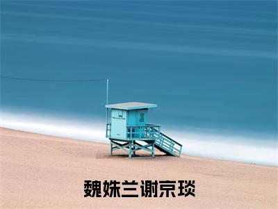 魏姝兰谢京琰(谢京琰魏姝兰)新上热文小说全文免费阅读-小说(谢京琰魏姝兰)完整版阅读