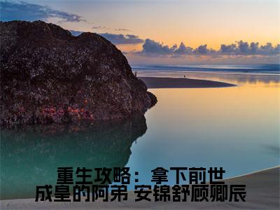 重生攻略：拿下前世成皇的阿弟全文免费阅读_重生攻略：拿下前世成皇的阿弟（ 安锦舒顾卿辰免费阅读无弹窗） 安锦舒顾卿辰最新章节在线阅读笔趣阁