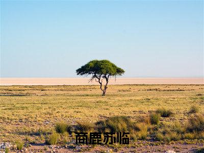 商鹿苏临（苏临商鹿全文在线阅读）-商鹿苏临(苏临商鹿)免费阅读（商鹿苏临）