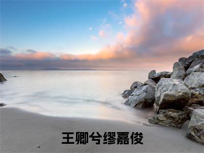 王卿兮缪嘉俊(缪嘉俊王卿兮)在线阅读-王卿兮缪嘉俊小说缪嘉俊王卿兮完整版免费阅读