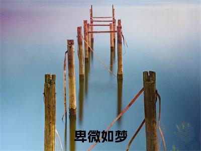 卑微如梦（江清周景深）全文免费阅读_卑微如梦（江清周景深）最新章节小说免费阅读（卑微如梦）