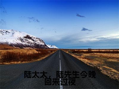 小说陆太太，陆先生今晚回来过夜（顾南烟陆北城小说免费阅读）完结阅读_陆太太，陆先生今晚回来过夜全文免费阅读最新章节大结局