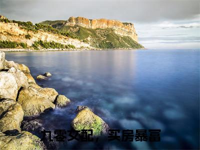 九零女配,买房暴富夜游星河完整版最新小说大结局,九零女配,买房暴富免费完结版