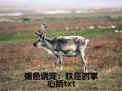  姜芙白杏（媚色诱宠：权臣的掌心娇）全文免费阅读无弹窗大结局_ 姜芙白杏最新章节列表_笔趣阁（媚色诱宠：权臣的掌心娇）