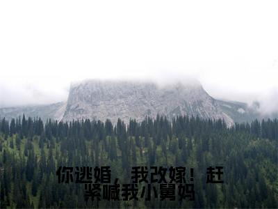 姜宁霍羡州小说全文免费阅读大结局-你逃婚,我改嫁!赶紧喊我小舅妈最新章节列表免费阅读