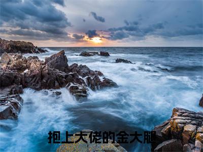 抱上大佬的金大腿(苏小汐厉夜霆)老书虫2023良心推荐小说-抱上大佬的金大腿(苏小汐厉夜霆)小说精彩免费试读