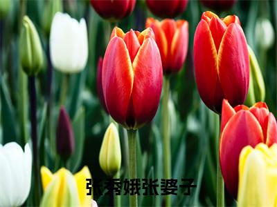  张秀娥张婆子（穿越之开局成了寡妇小说）全文免费阅读无弹窗大结局_穿越之开局成了寡妇小说最新章节列表_笔趣阁（ 张秀娥张婆子）