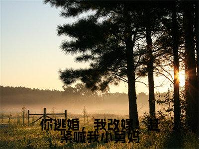 你逃婚，我改嫁！赶紧喊我小舅妈小说(姜宁霍羡州)全文免费阅读无弹窗大结局_(你逃婚，我改嫁！赶紧喊我小舅妈小说免费阅读)姜宁霍羡州无弹窗最新章节列表_笔趣阁（姜宁霍羡州）